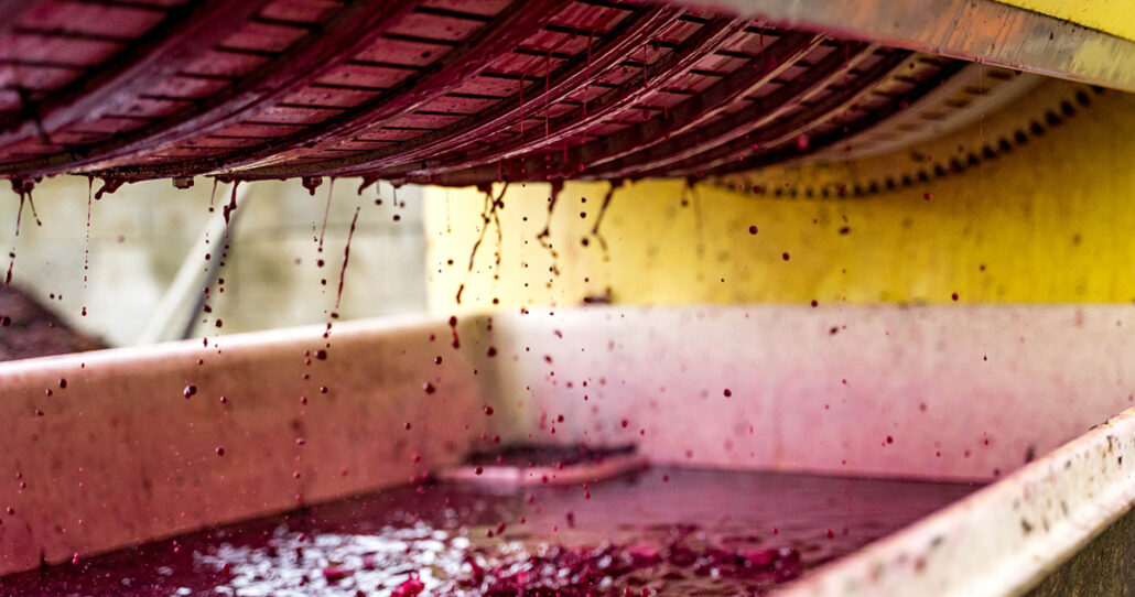 Casetta 1^ Settembre 24 - Vendemmia-31